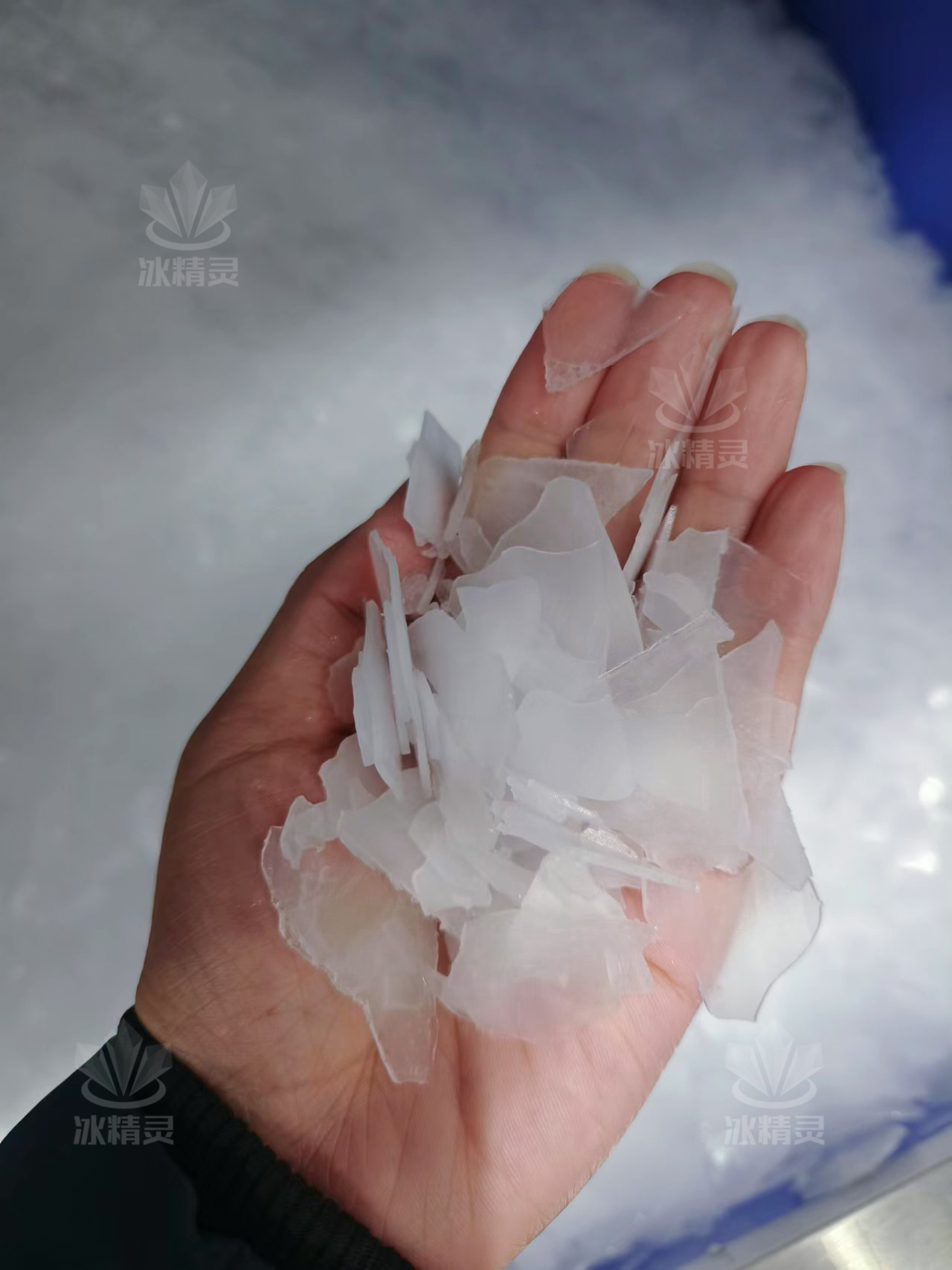 干燥鱗片冰