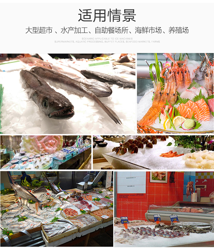 200公斤片冰機(jī)(圖3)