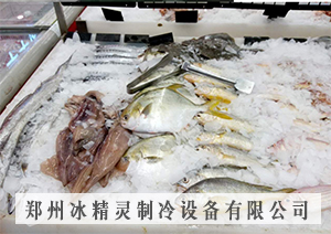 300公斤片冰機(jī)交付山東濱州市興隆超市使用(圖1)